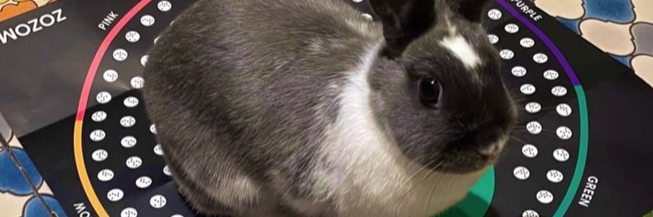 matopy(的場英也) banner