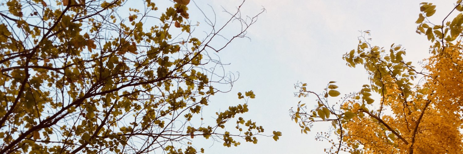 RhetoricalK's profile banner image