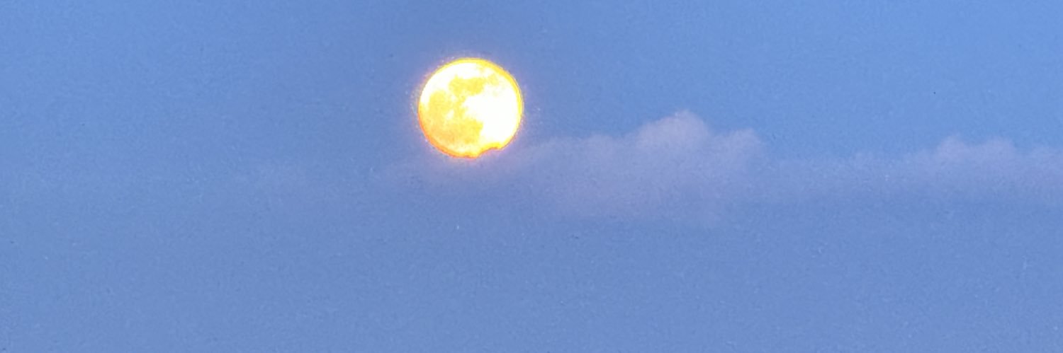 paddymo4's profile banner image