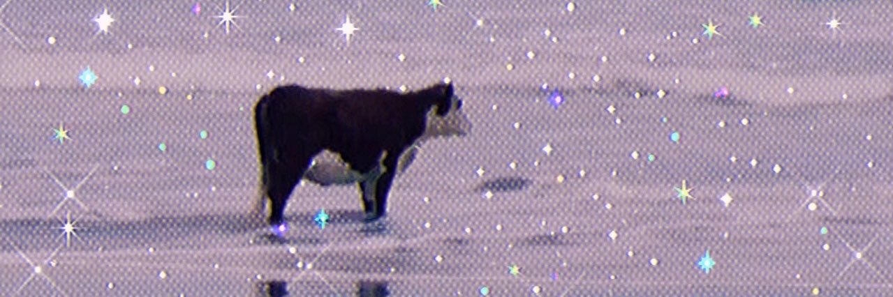 ns♡ 💀🍽 banner