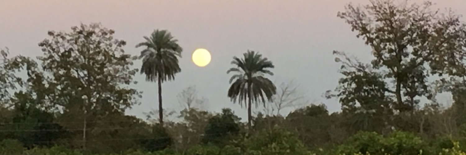 Alexandra Pringle banner