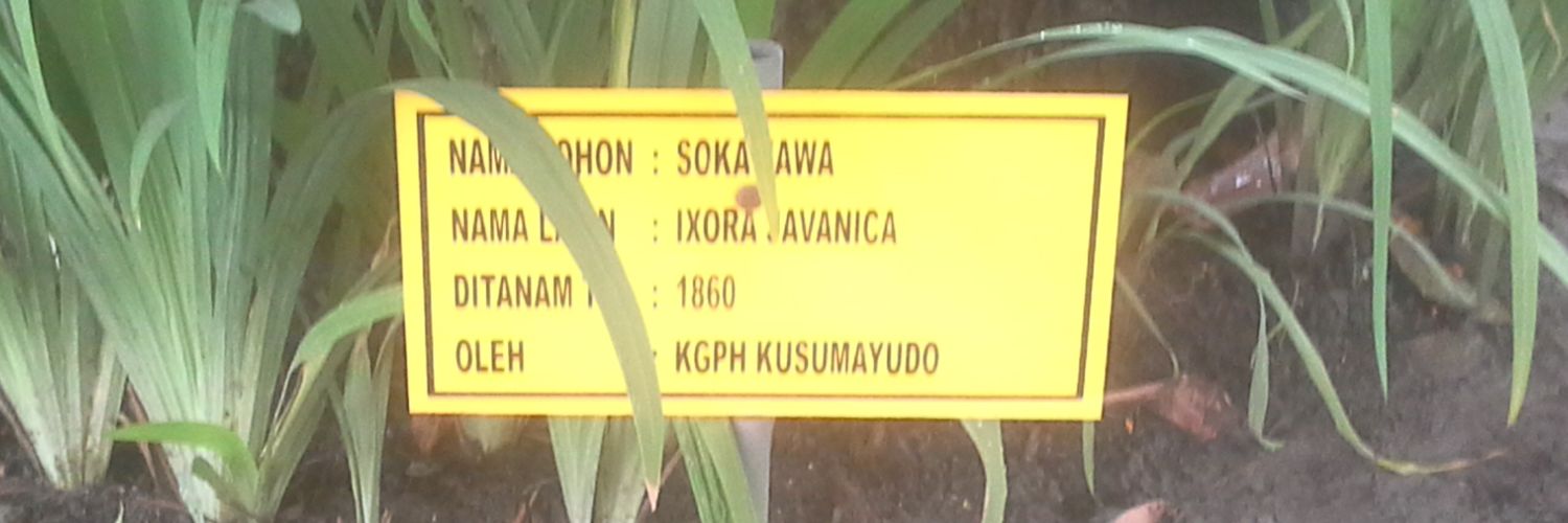marketsurakarta's profile banner image