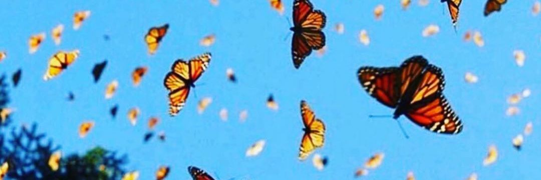 lazybear512's profile banner image