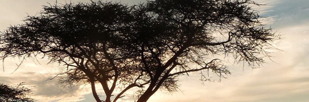 brucehild's profile banner image