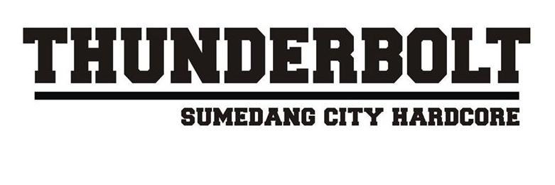 ThunderFuckingBolT ! banner