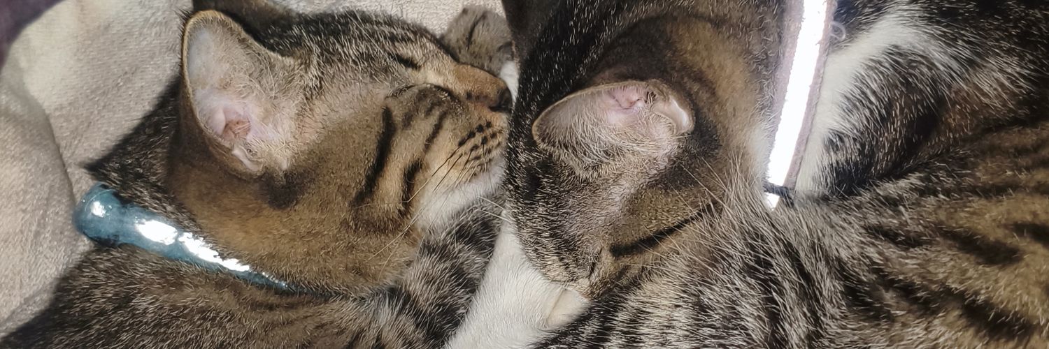 Jammycutie's profile banner image