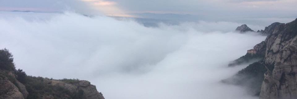mmarkus23's profile banner image