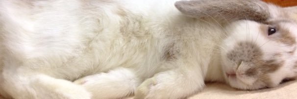RkmrTecoco's profile banner image