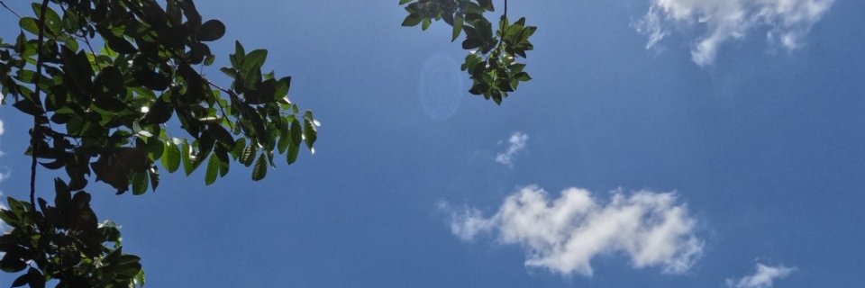 _udangudang's profile banner image