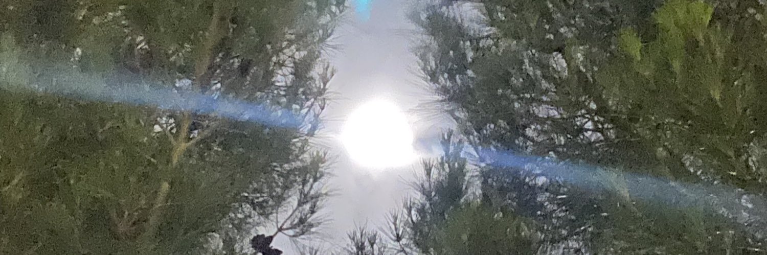 sadtwtstan's profile banner image