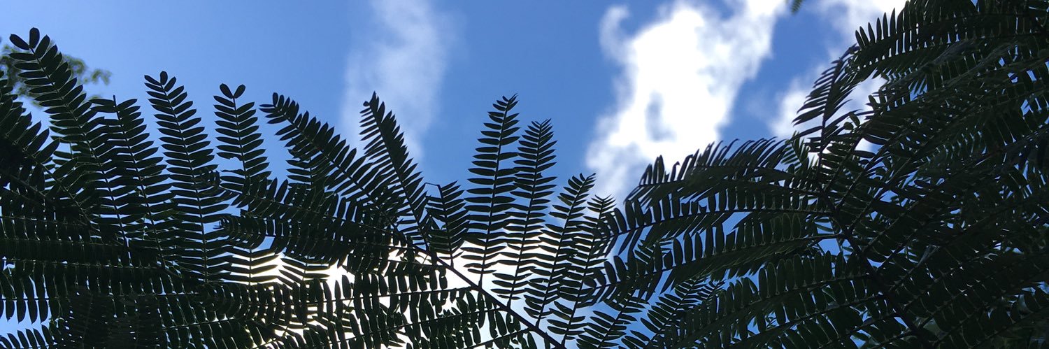 ura_simataro's profile banner image