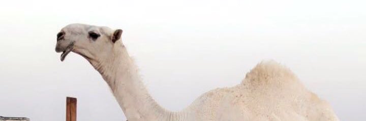 azaz76543's profile banner image