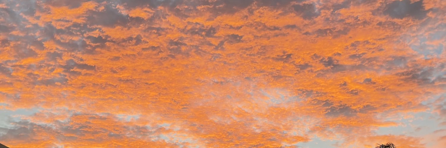 JesusRoberto8's profile banner image
