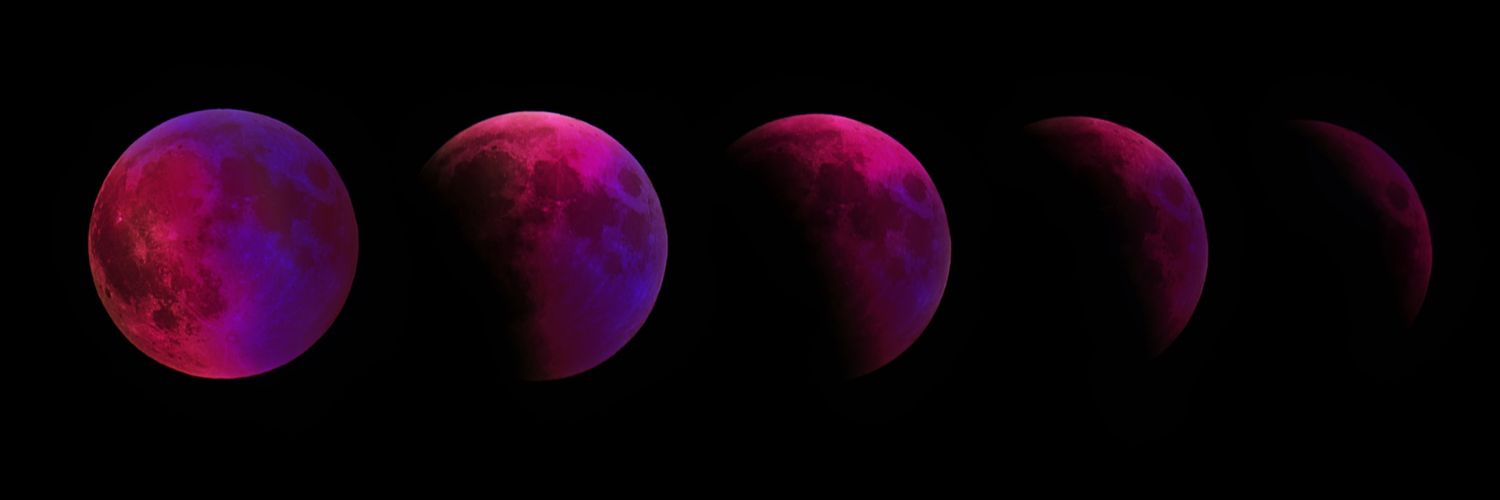 Zach_Robb's profile banner image