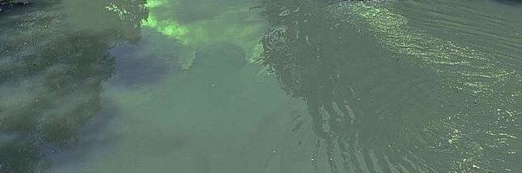 prettyinsage's profile banner image