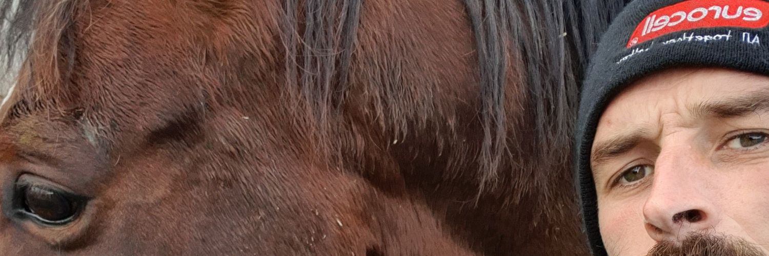 bradders2611's profile banner image