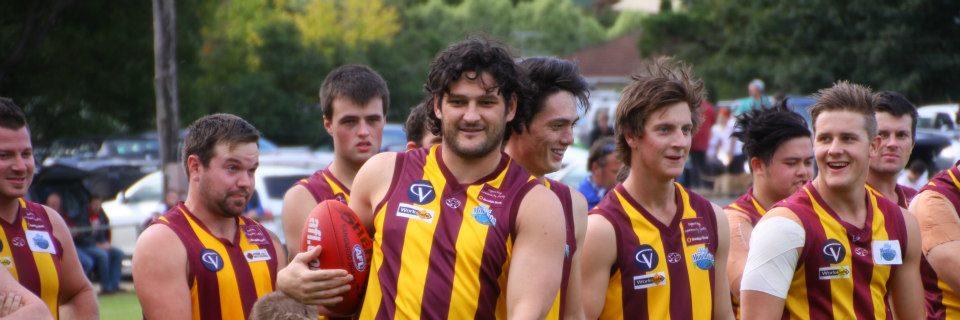 Monbulk Hawks banner