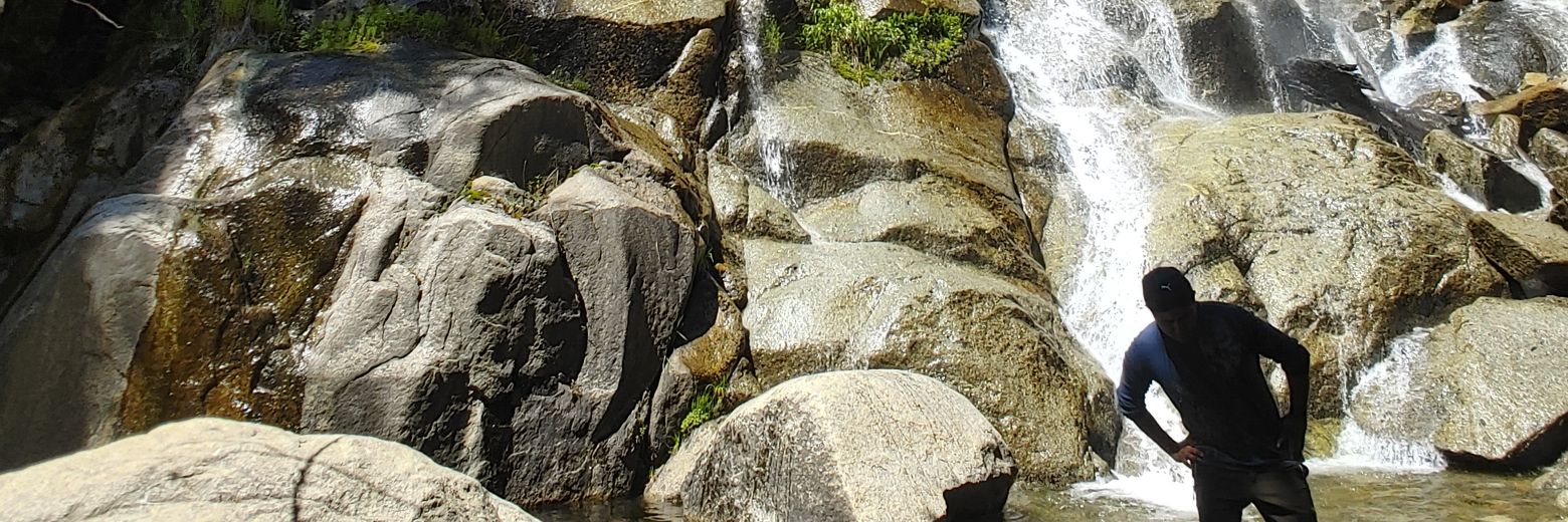 tamaleetos's profile banner image