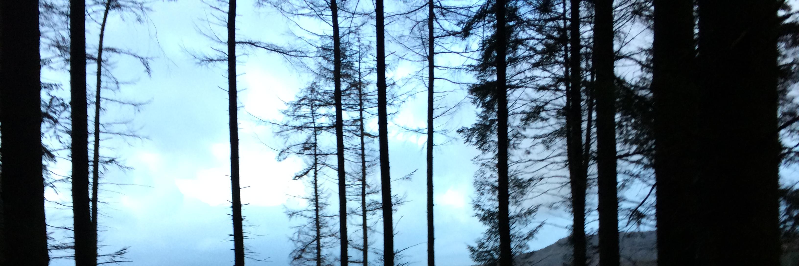 clara eroukhmanoff banner