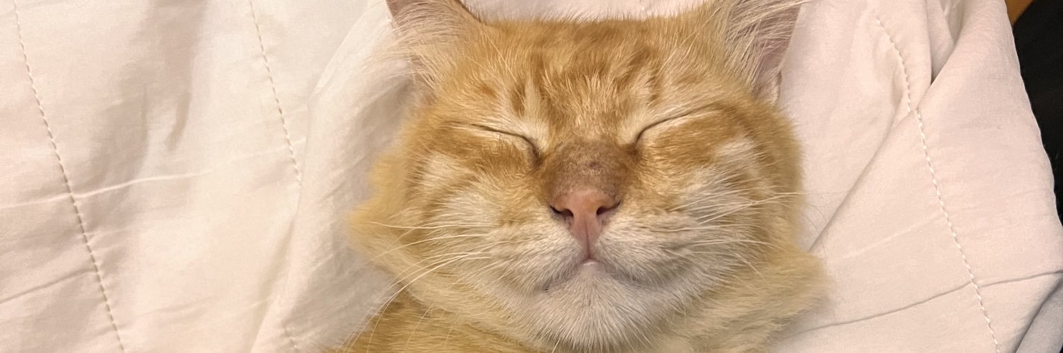 emillyahilda's profile banner image