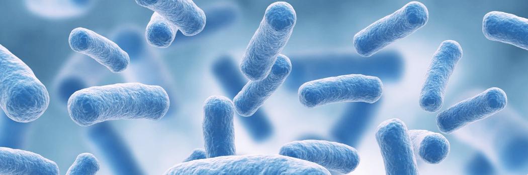 SynbioTechInc's profile banner image
