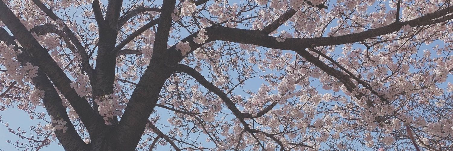 icedjunhui's profile banner image