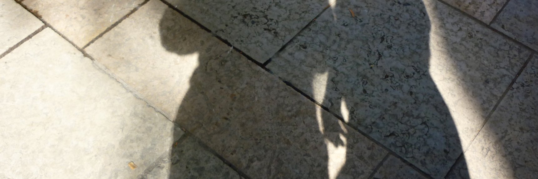 PeterMorfoot's profile banner image