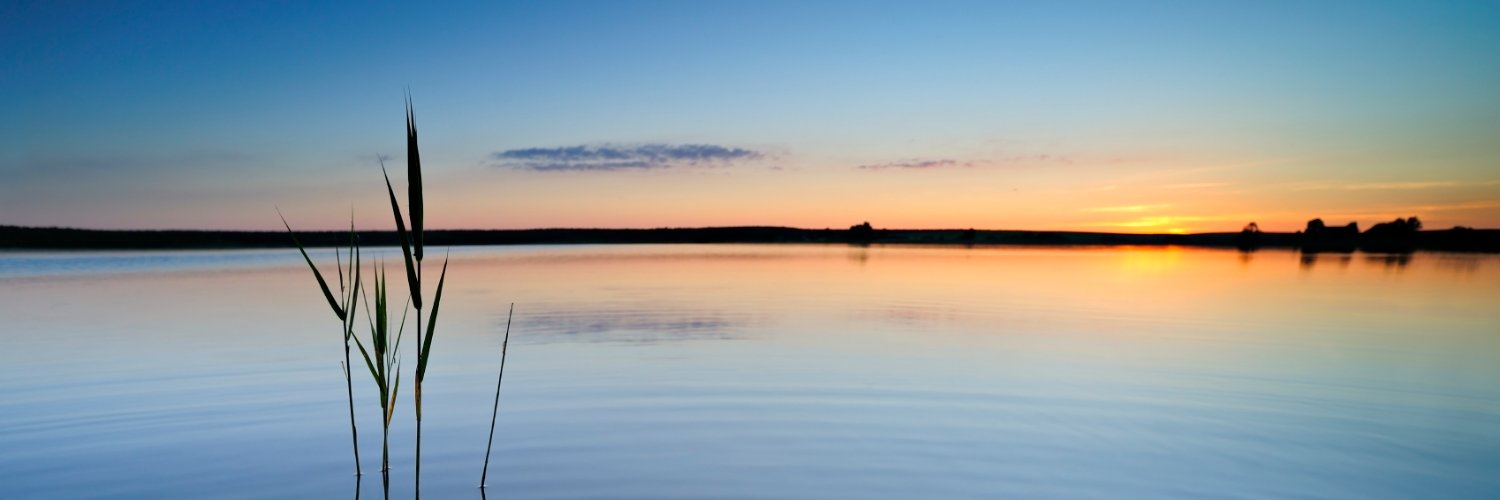dovidlessin's profile banner image
