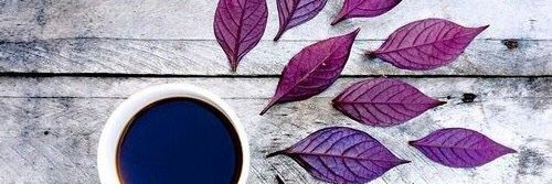 annisa1206's profile banner image