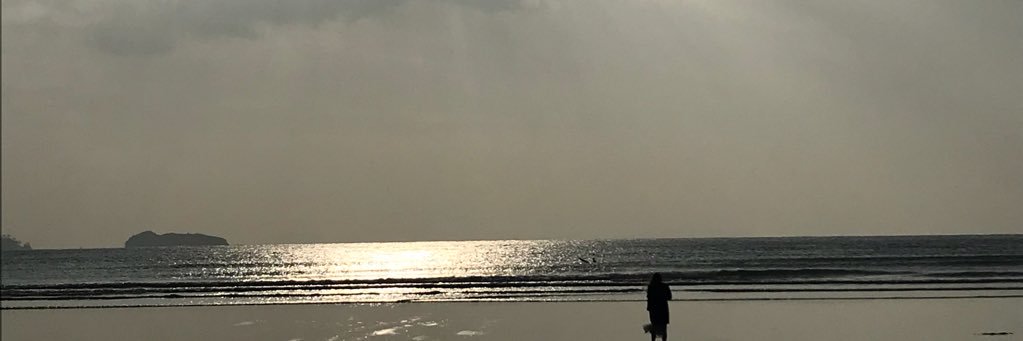y_yt0929's profile banner image