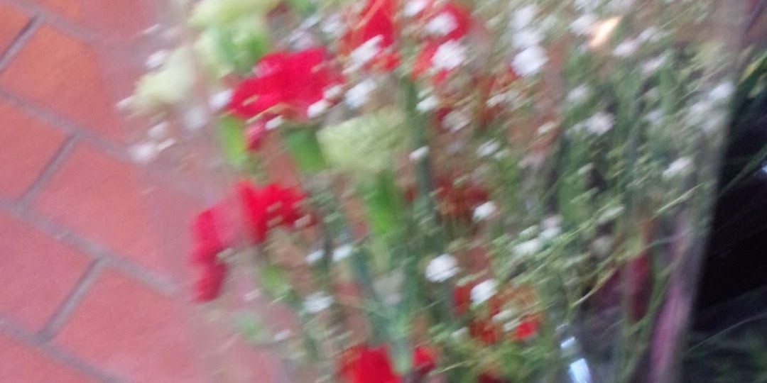 Yuri_07232's profile banner image