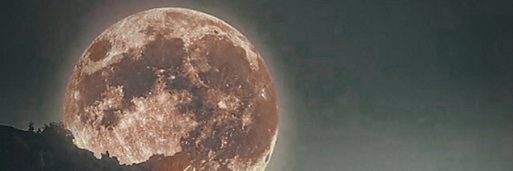 ali5900000's profile banner image