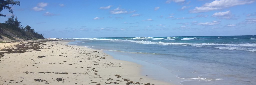 Hannah Menard banner