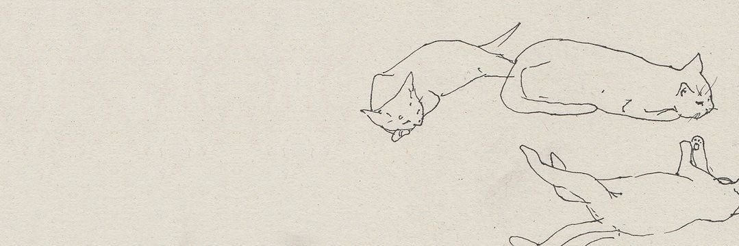 bonbon banner