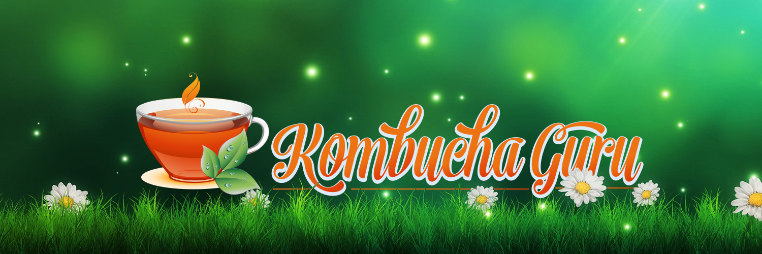 Kombucha Guru banner