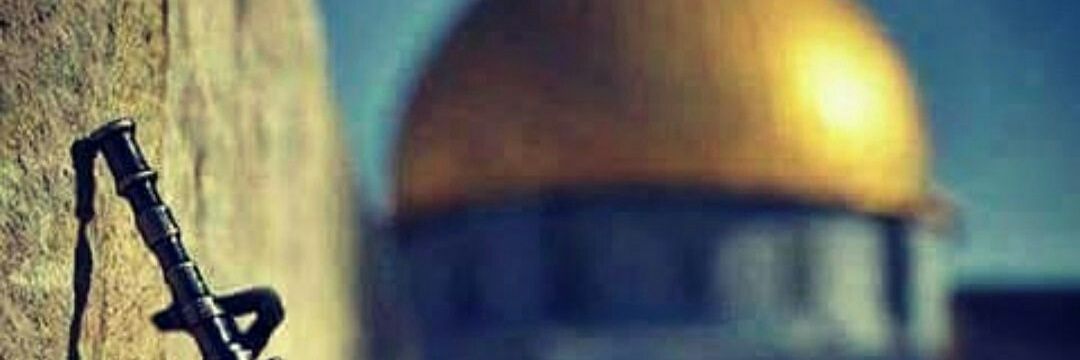 luaysv's profile banner image