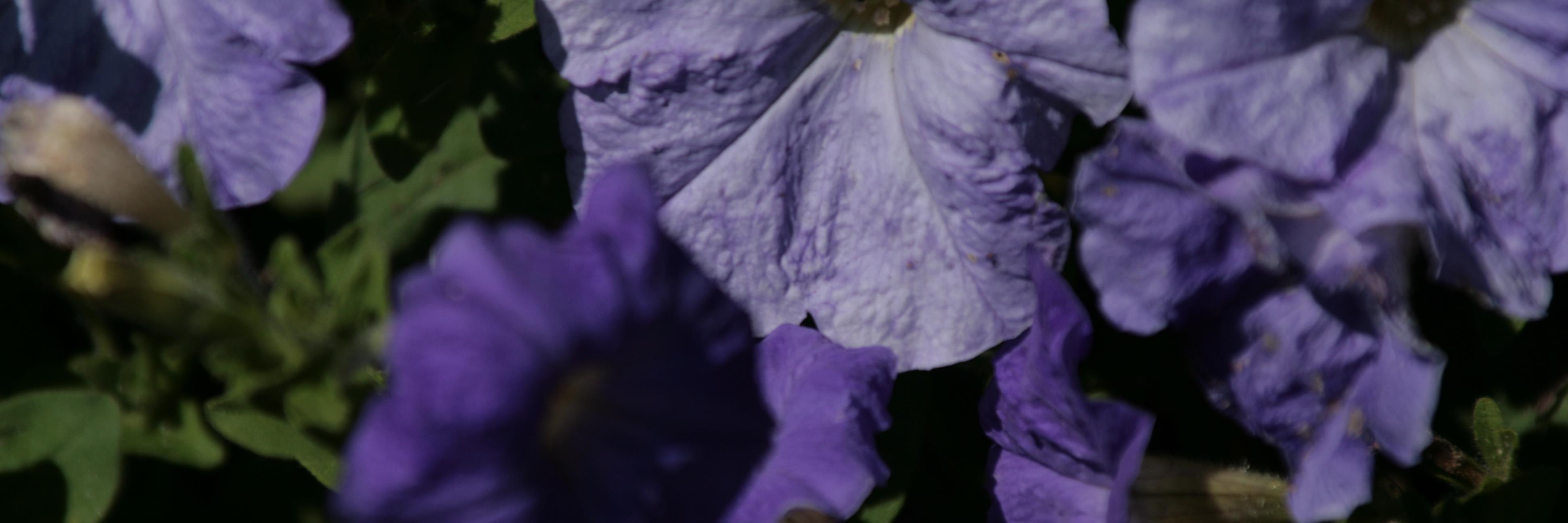 bgmccoco's profile banner image
