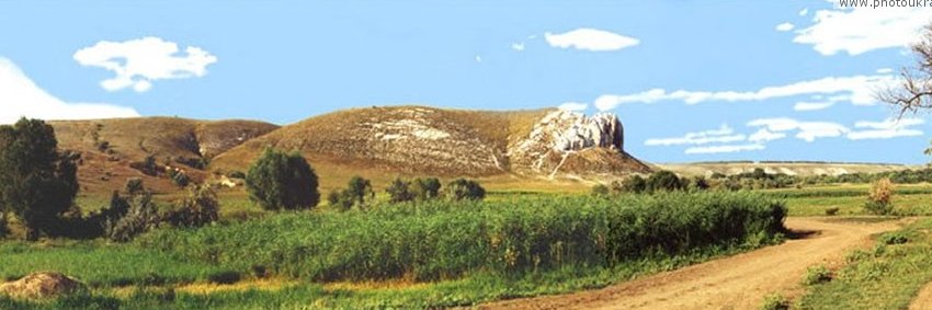 Rinalgana's profile banner image