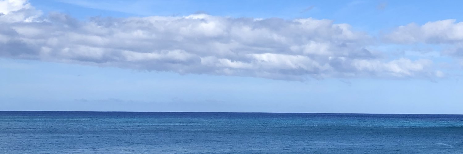 adamsjt's profile banner image
