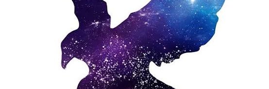 RivTrophy's profile banner image