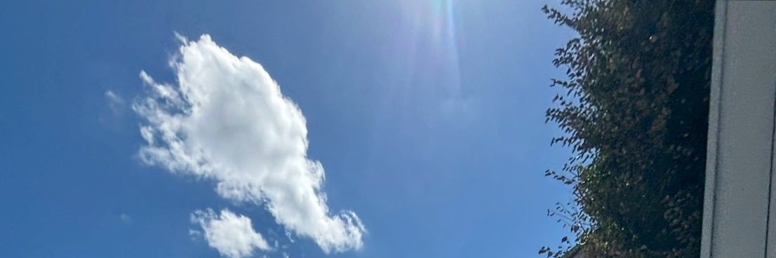 ryoaria's profile banner image