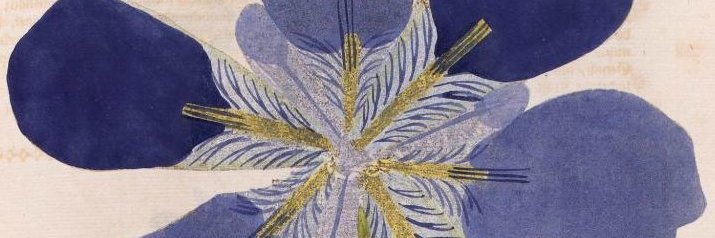 AmisBnF's profile banner image