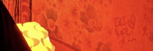 phoenix🍥 banner