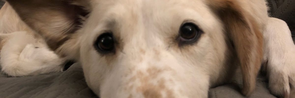 AlKroetsad's profile banner image