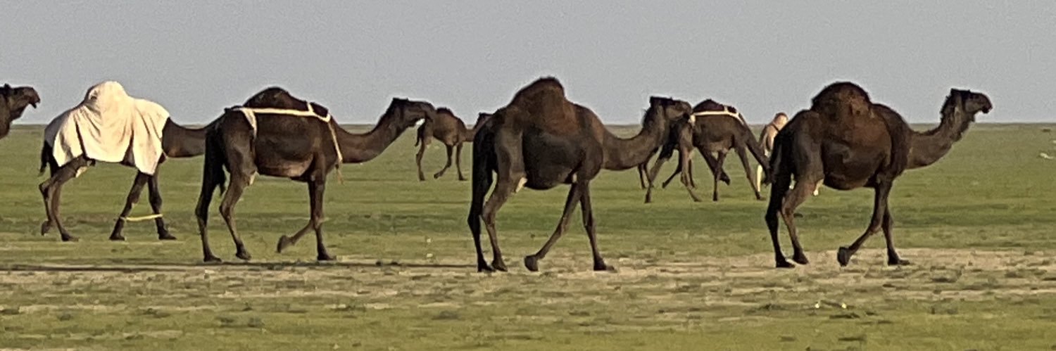 AlraqyRashid's profile banner image