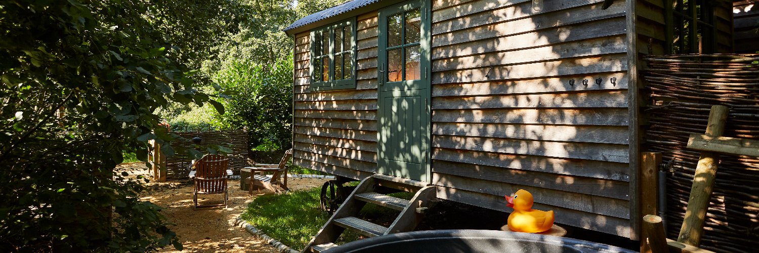 The Fish Hotel banner