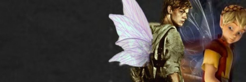 FairyDustElf's profile banner image