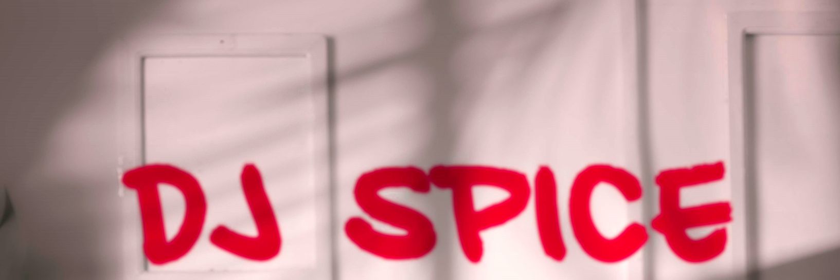 DJ Spice ZW banner