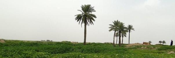 LaylaKordish's profile banner image