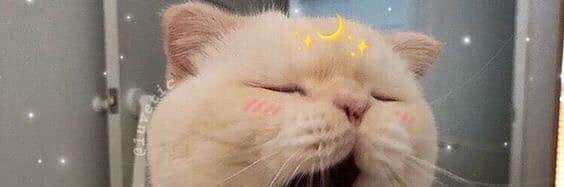 yhcpz's profile banner image